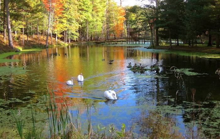 Walhalla - Beautiful Barothy Lodge As Of 2022 (newer photo)